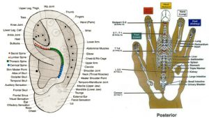 ao13