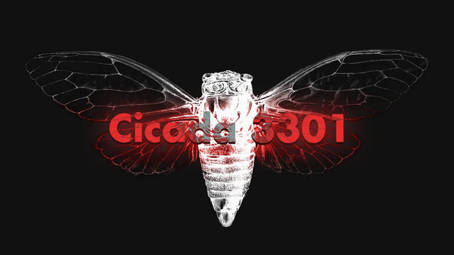 Cicada 1