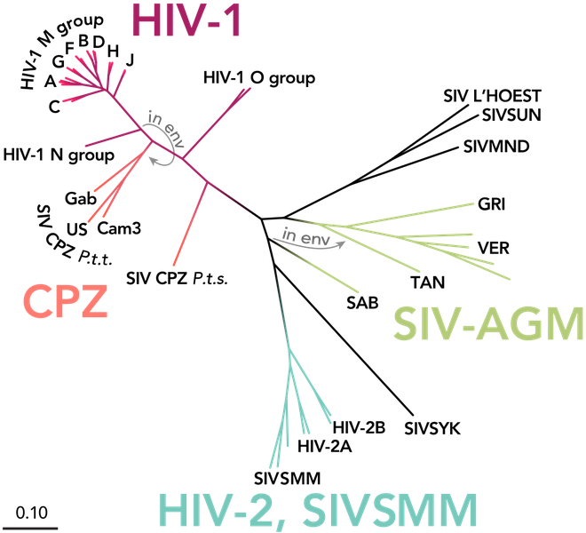 hivmoi2