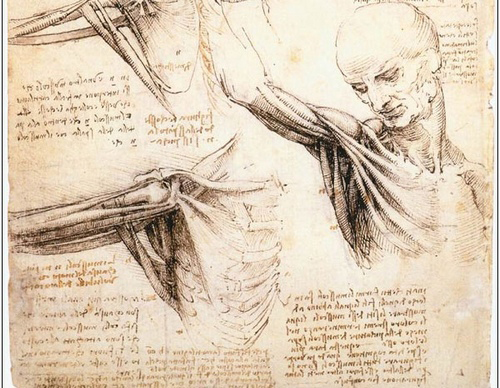 Leonardo da Vinci10