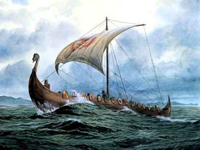 nguoiviking2